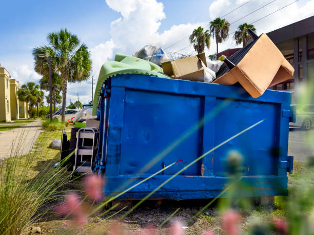 Yard Cleanup Services in Camp Springs, MD